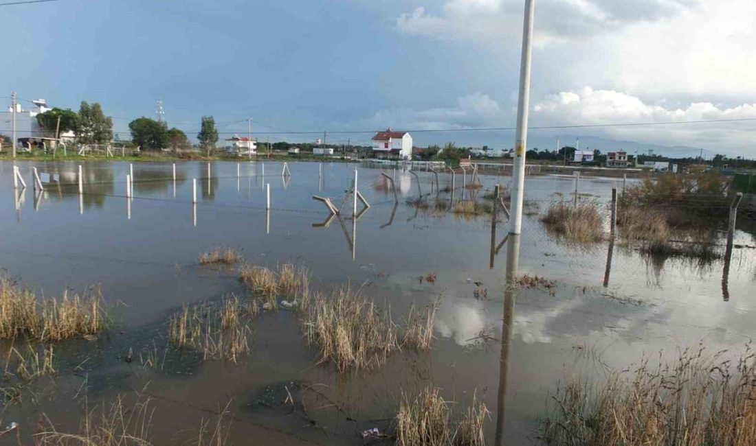 Burhaniye ilçesinde sağanak etkili oldu, yazlık evleri ve tarım arazilerini