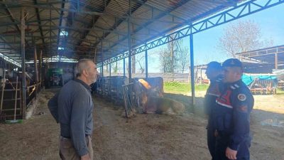 Bilecik’te 120 vatandaşa hayvan hırsızlığı ve dolandırıcılık bilgilendirmesi yapıldı. Bilecik