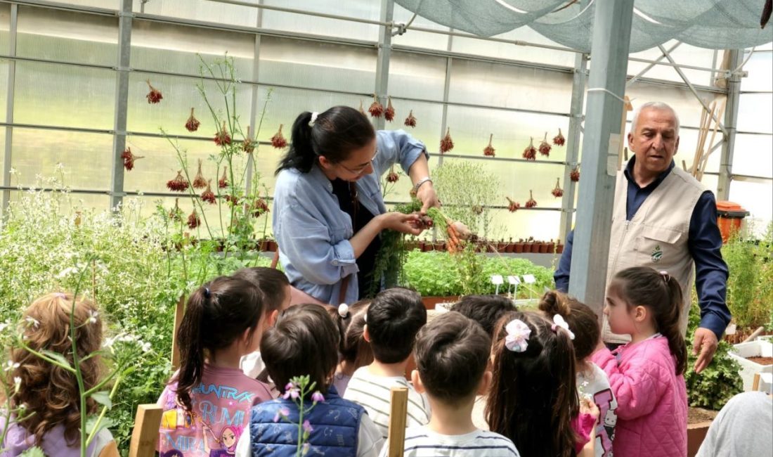 Osmangazi Belediyesi, çocukların toprakla tanışması ve tükettikleri gıdaların üretim sürecini
