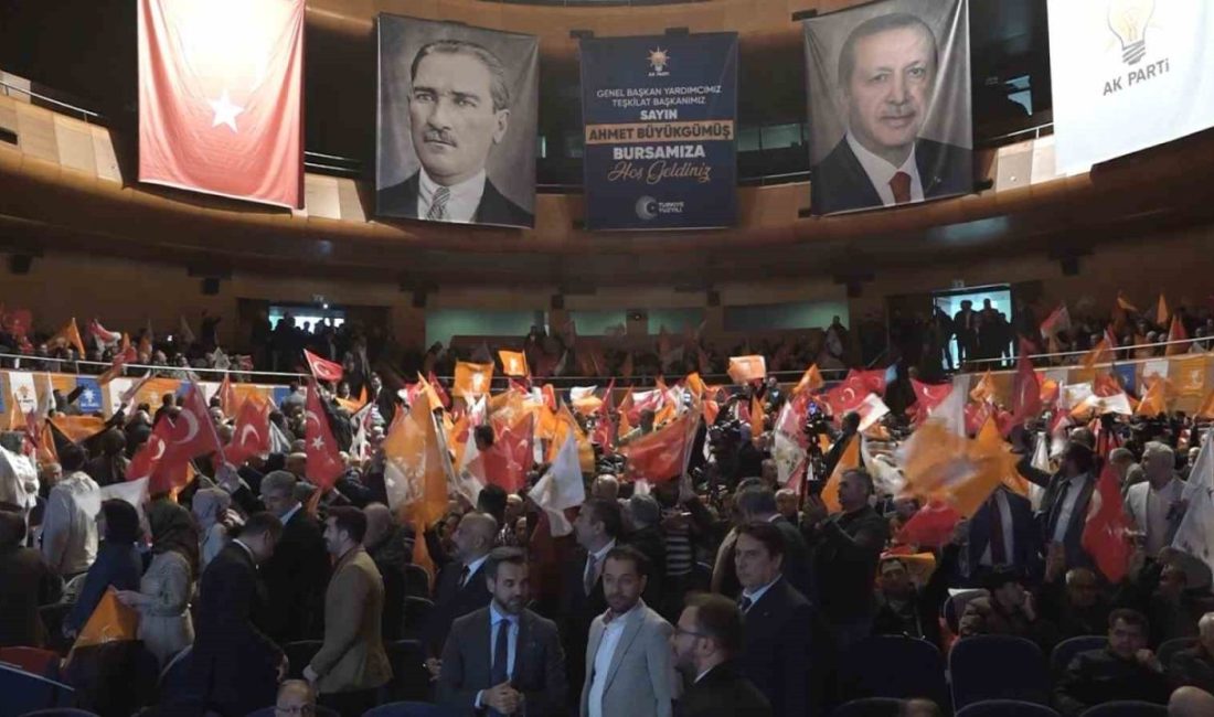 AK Parti Genel Başkan Yardımcısı, Teşkilat Başkanı ve Yalova Milletvekili