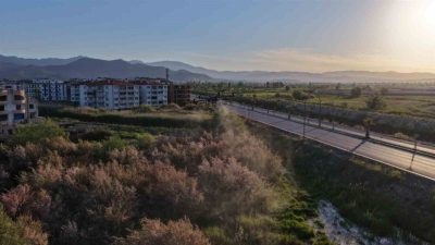 Balıkesir Büyükşehir Belediyesi, halk sağlığını korumak için haşereyle mücadele çalışmalarını