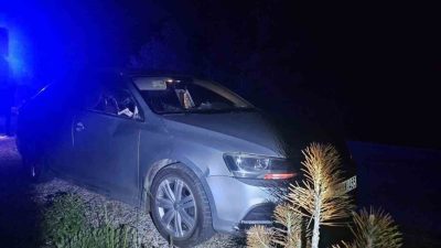 Bilecik’in Bozüyük ilçesinde geyiğin seyir halindeki otomobile çarpması sonucu meydana