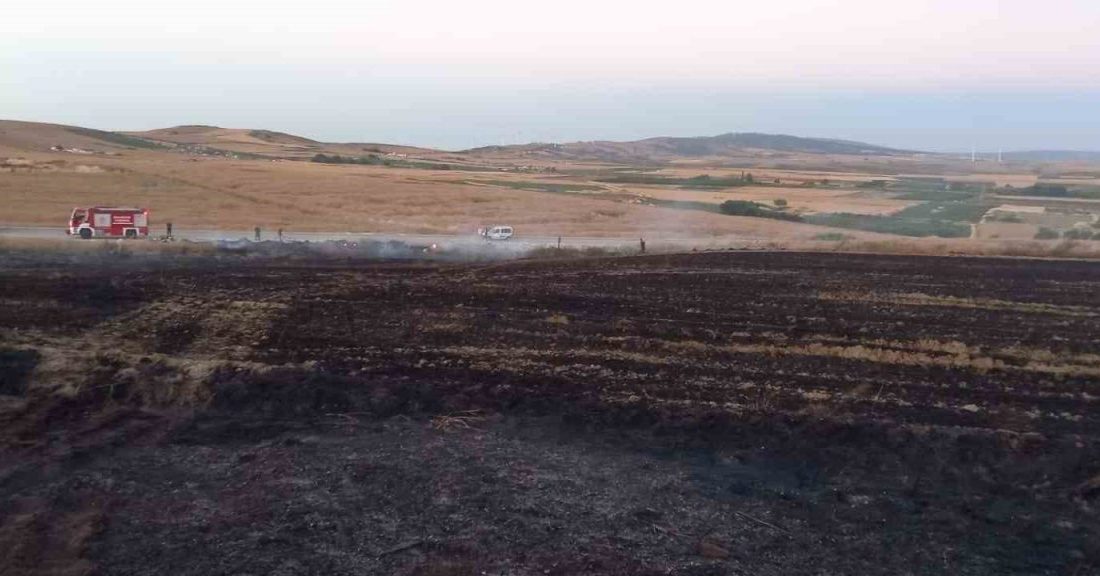 Balıkesir’in Bandırma ilçesinde arazi ve buğday tarlasında çıkan yangın, itfaiye