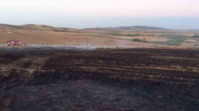 Balıkesir’in Bandırma ilçesinde arazi ve buğday tarlasında çıkan yangın, itfaiye