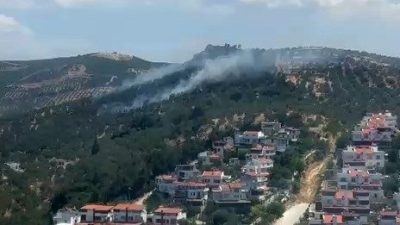 Balıkesir’in Burhaniye ilçesine bağlı Pelitköy Mahallesi’nde çıkan ve poyrazın etkisiyle