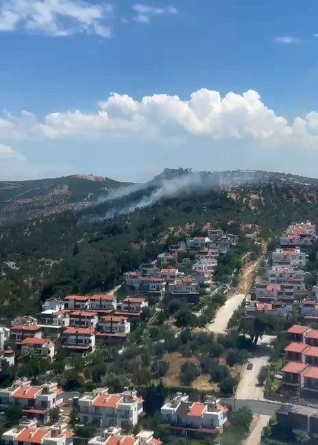 Balıkesir’in Burhaniye ilçesine bağlı Pelitköy Mahallesi’nde çıkan ve poyrazın etkisiyle