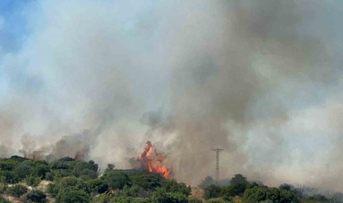 Çanakkale’de bozuk orman sahasında çıkan yangına Orman Bölge Müdürlüğü ekipleri