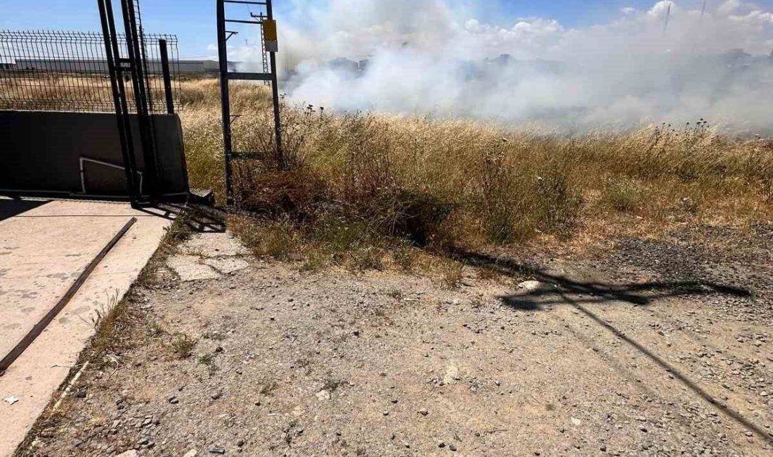 Tekirdağ’ın Kapaklı ilçesinde bir kuşun elektrik tellerine çarpması sonucu otluk
