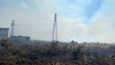 Çanakkale’nin Biga ilçesinde tarım arazisinde çıkan yangına havadan ve karadan