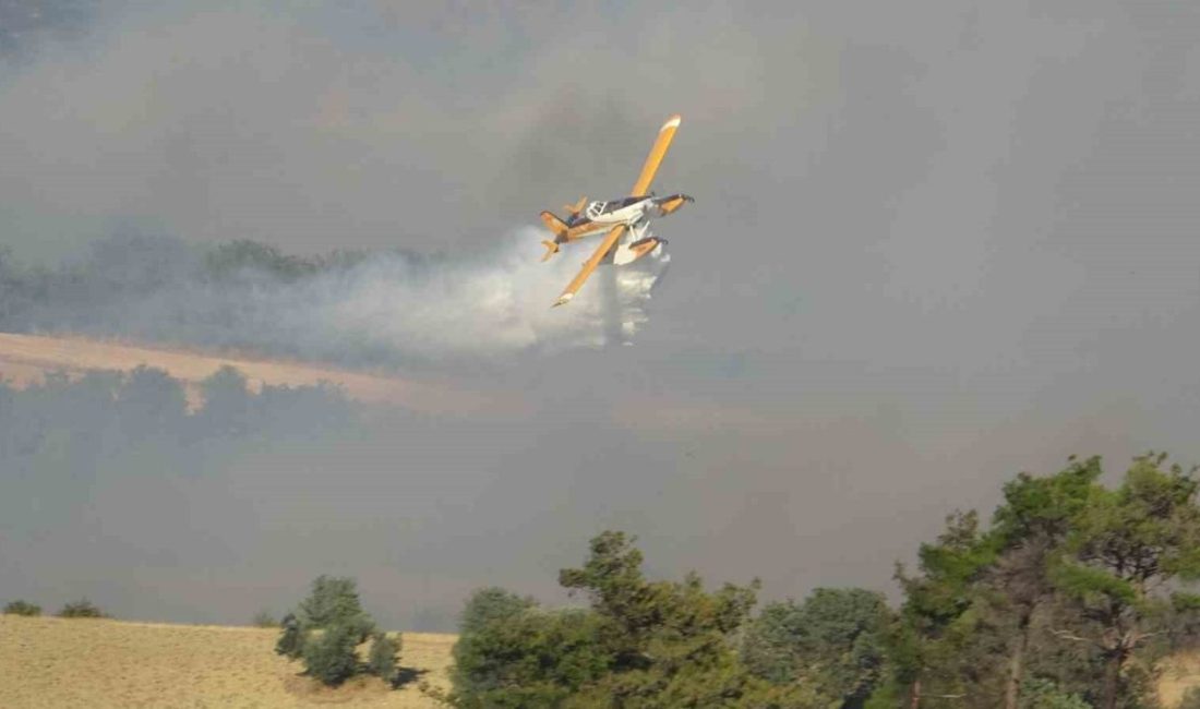 Çanakkale’de çıkan orman yangınına Orman Bölge Müdürlüğü ekipleri 6 helikopter,