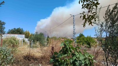 Balıkesir’in Gömeç ilçesinde, Atatürk Kayalıkları yakınlarında bulunan Kumgedik ve Hacıhüseyinler