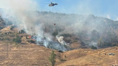 Bilecik’in Bozüyük ilçesinde ormanlık alanda çıkan yangın, ekiplerin zamanında müdahalesi