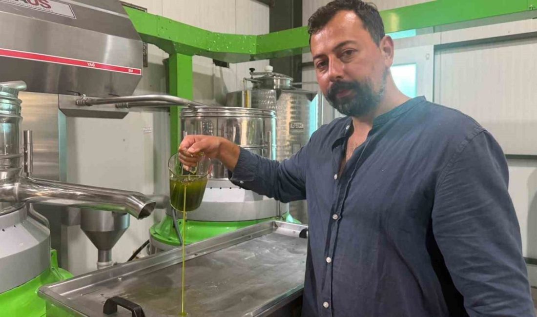Bursa’nın İznik ilçesine bağlı Göllüce Mahallesi’nde zeytin üreticisi Oğuz Yıldırım,