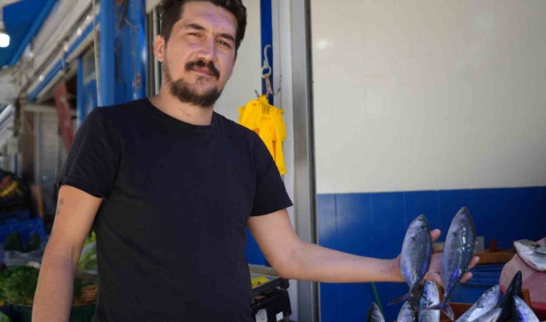 Balık sezonunda 5 aylık bekleyişin sonunda gemilerin depoları başta palamut