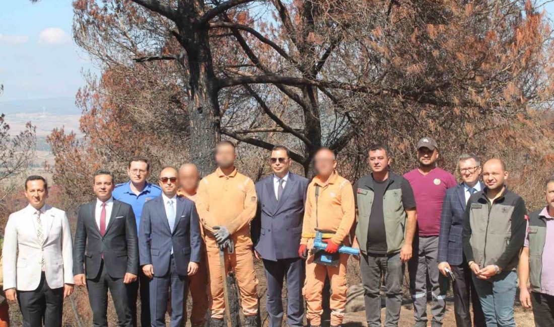 Balıkesir’in Bandırma, Gönen, Manyas, Susurluk ve Erdek ilçelerinde, ormanların korunması,
