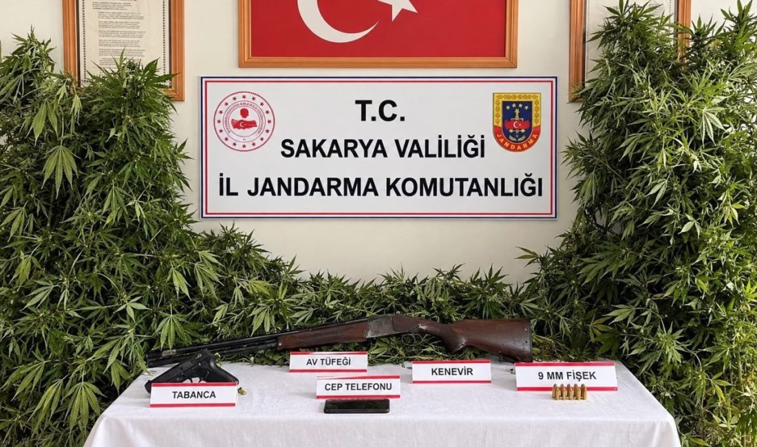 Sakarya’da jandarma ekiplerince Karasu, Sapanca ve Hendek ilçelerinde gerçekleştirilen operasyonlarda