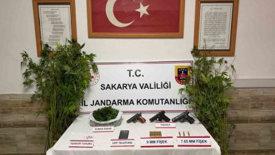 Sakarya’nın Pamukova, Karasu ve Kocaali ilçelerinde jandarma ekiplerince düzenlenen uyuşturucu