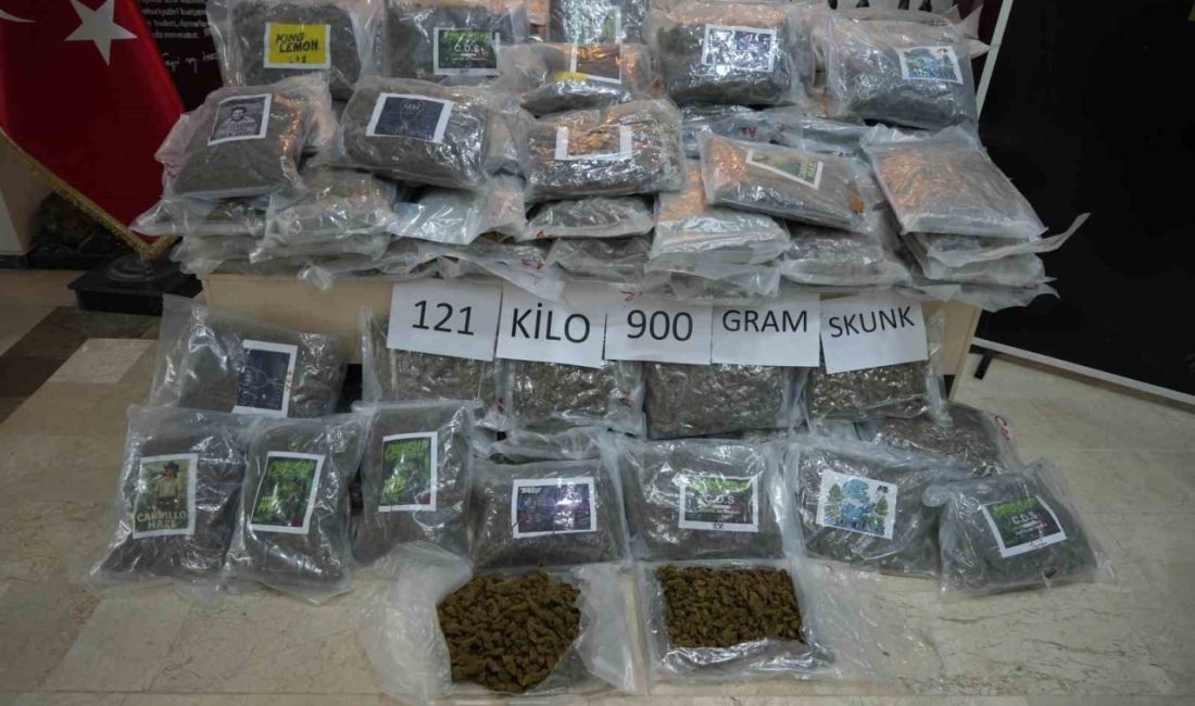 Edirne’nin Hamzabeyli Sınır Kapısı’nda x-ray taramasına sevk edilen tırın dorsesine