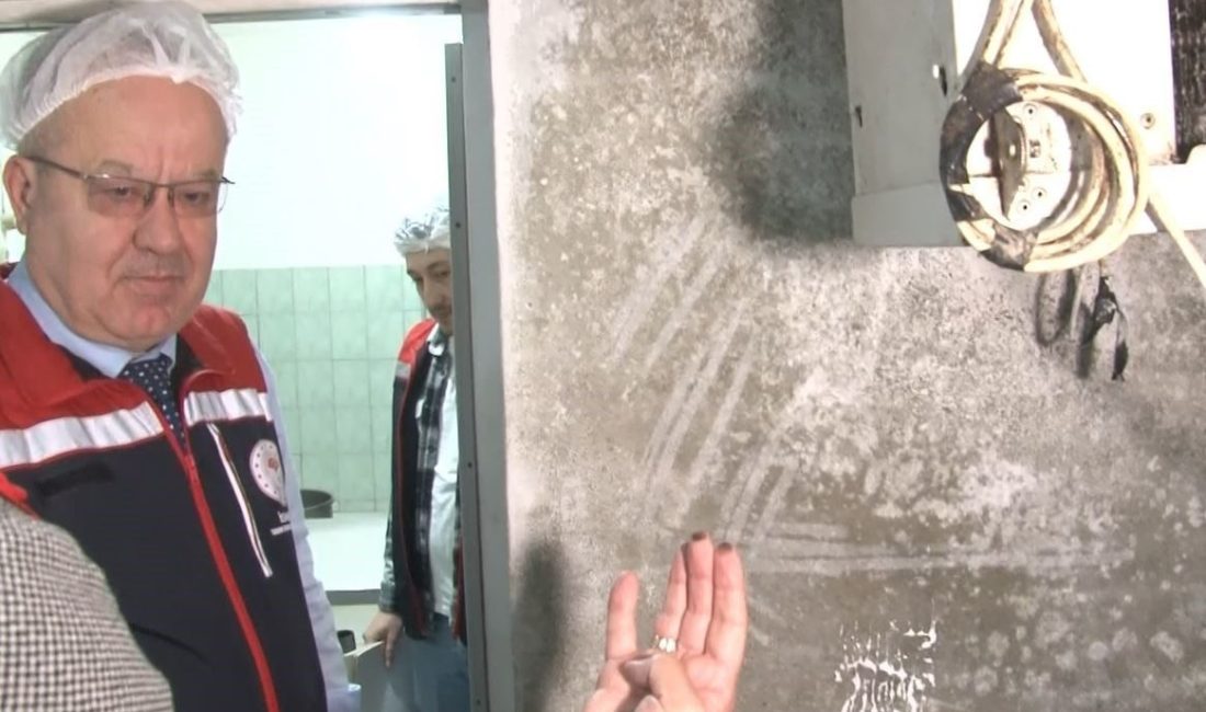 İstanbul İl Tarım ve Orman Müdürlüğü ekipleri, Bağcılar ilçesinde restoran