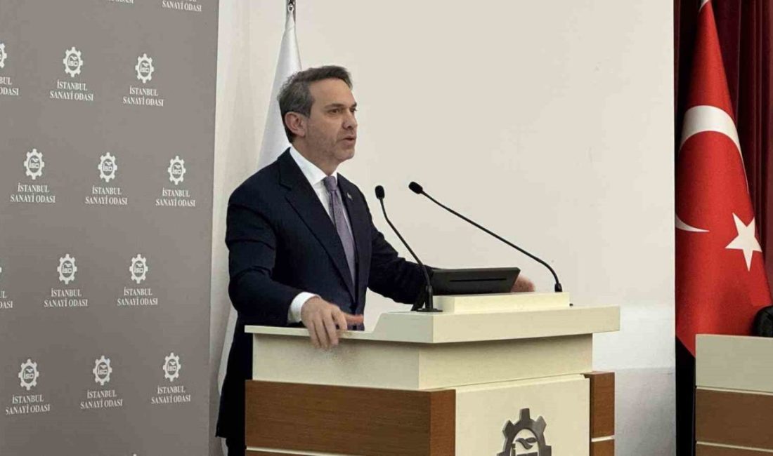 Enerji ve Tabii Kaynaklar Bakanı Alparslan Bayraktar, “Yaklaşık 4 milyon