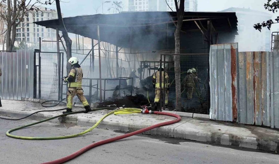İstanbul’un Beylikdüzü ilçesinde, boş kulübe alev alev yandı. Yangın nedeniyle