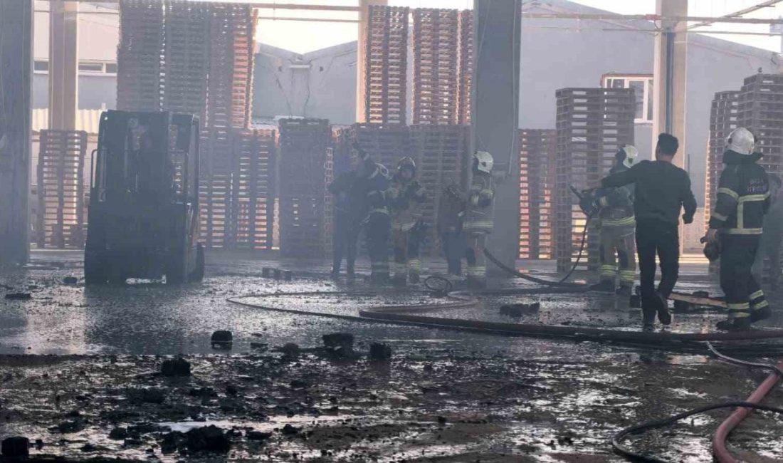 Bursa’nın İnegöl ilçesinde faaliyet gösteren palet fabrikasında yangın çıktı. Yangın