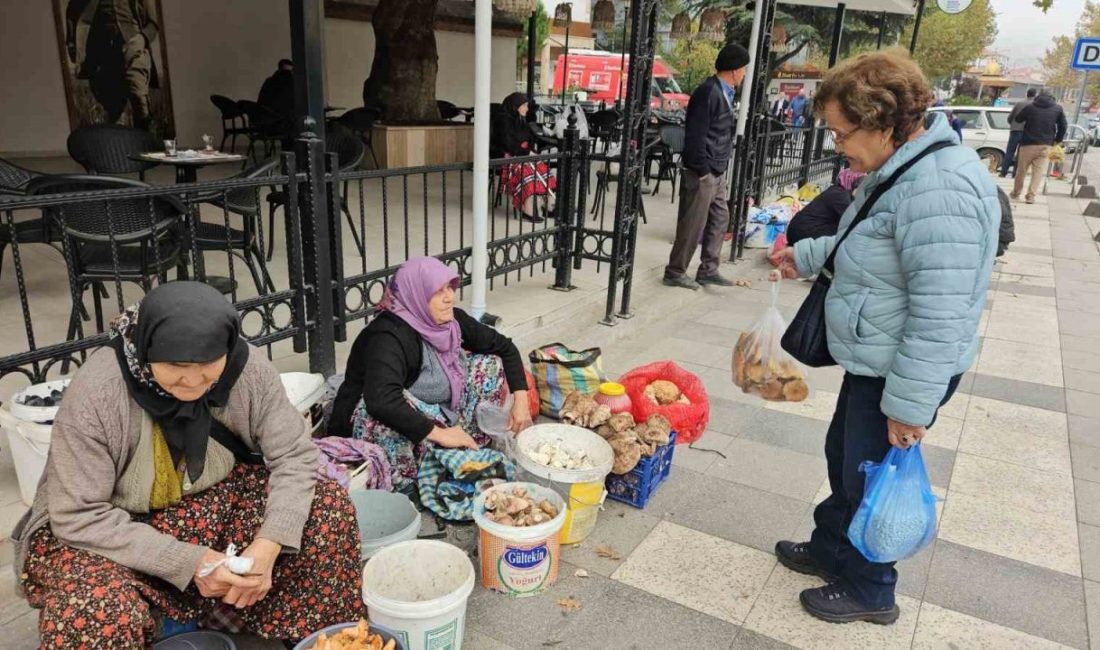 Balıkesir’in Sındırgı ilçesinde 10 Ağustos ve 27 Ekim tarihlerinde meydana