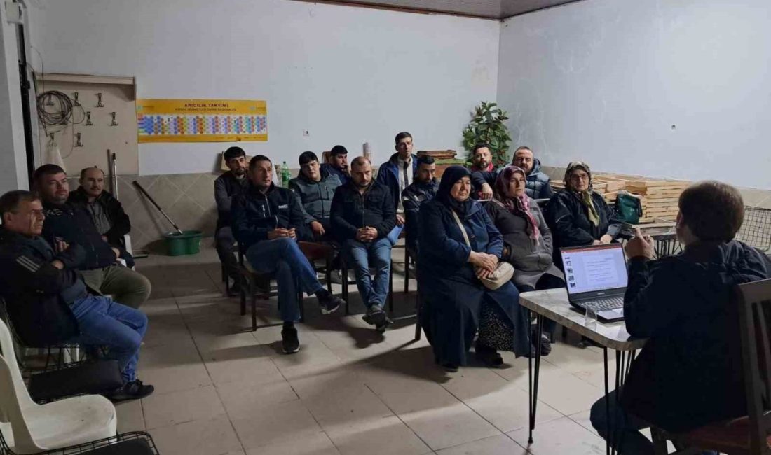 Edremit İlçesinde, 3 yıl önce 206 hektarlık alanda hayata geçirilen