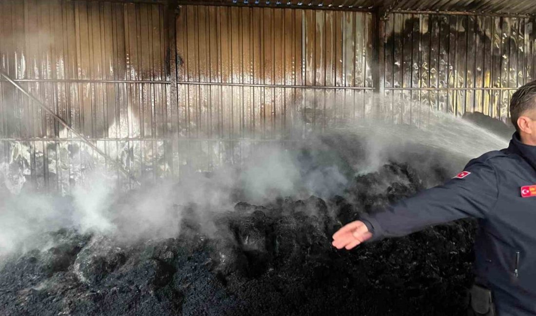 Edirne’nin Keşan ilçesine bağlı Gökçetepe köyünde bir depoda çıkan yangında,