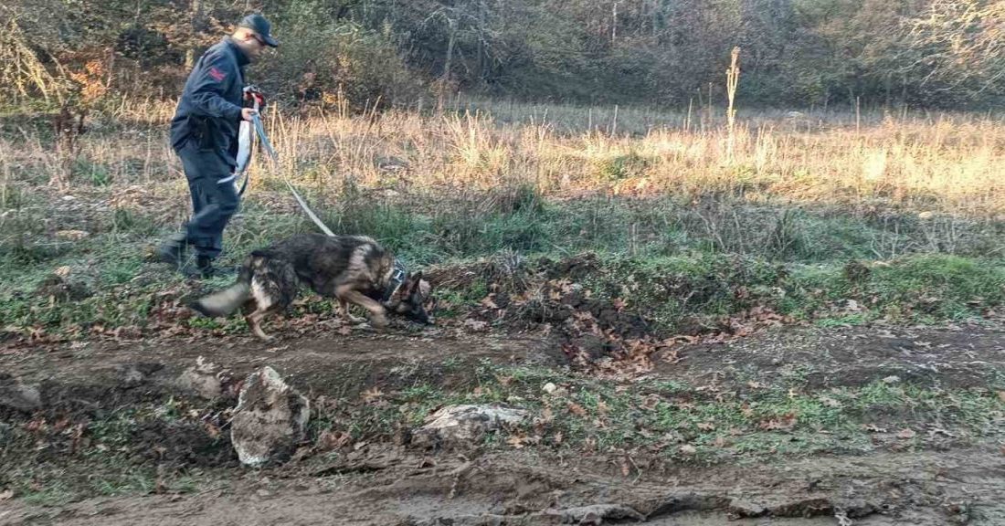 Bilecik’e dün öğleden sonra mantar toplamak için ormanlık alana giren