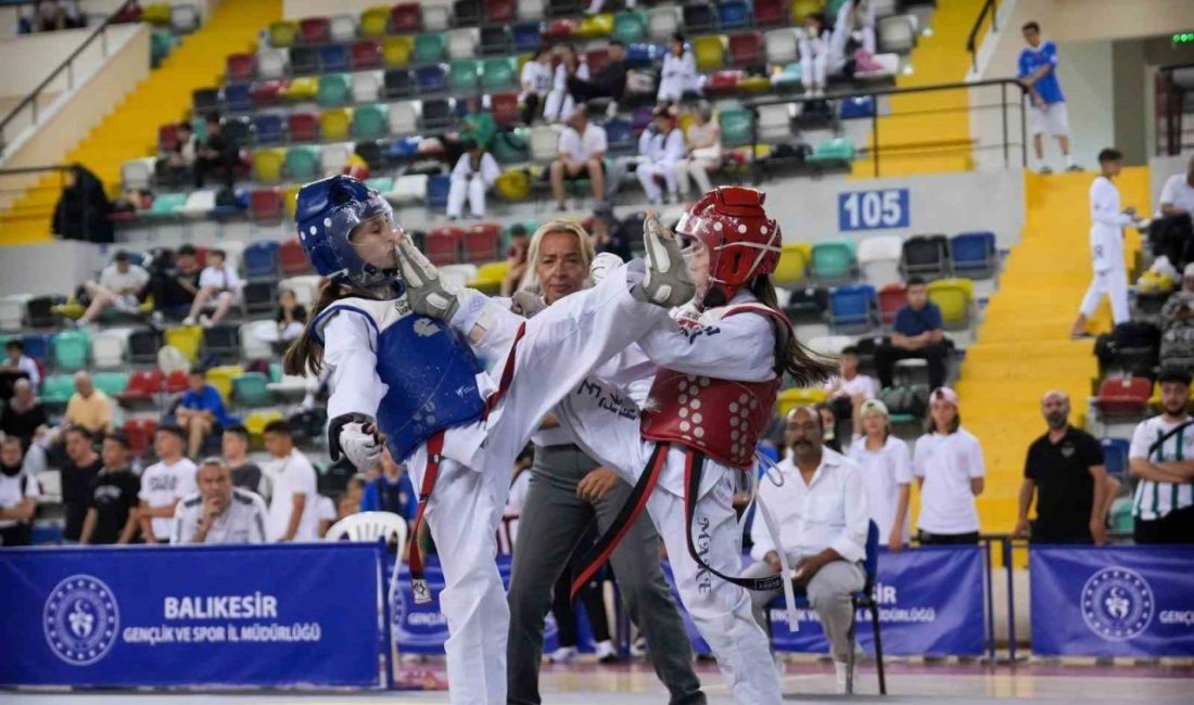 2025 yılı, Balıkesir’de gençlik ve spor faaliyetlerinin kentin her bir