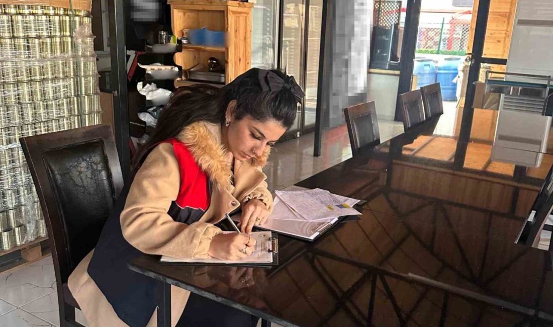 Kırklareli’nin Demirköy ilçesinde gıda işletmelerine yönelik yapılan denetimler devam ediyor.