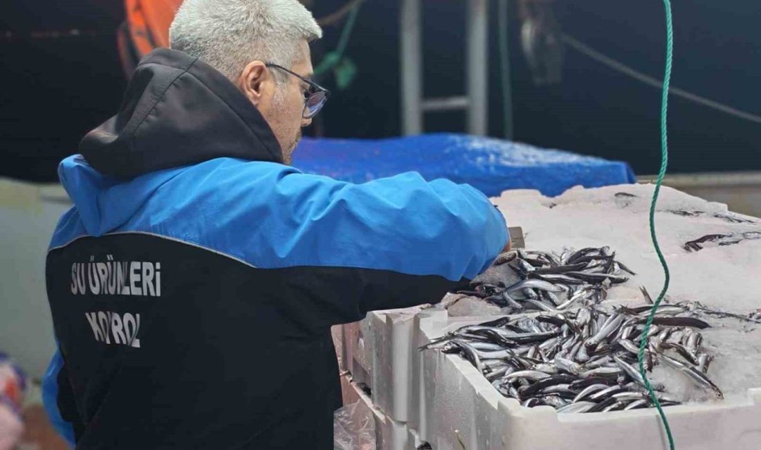 Çanakkale’nin Gelibolu ilçesinde sürdürülebilir su ürünleri avcılığı için denetimlerinde 45