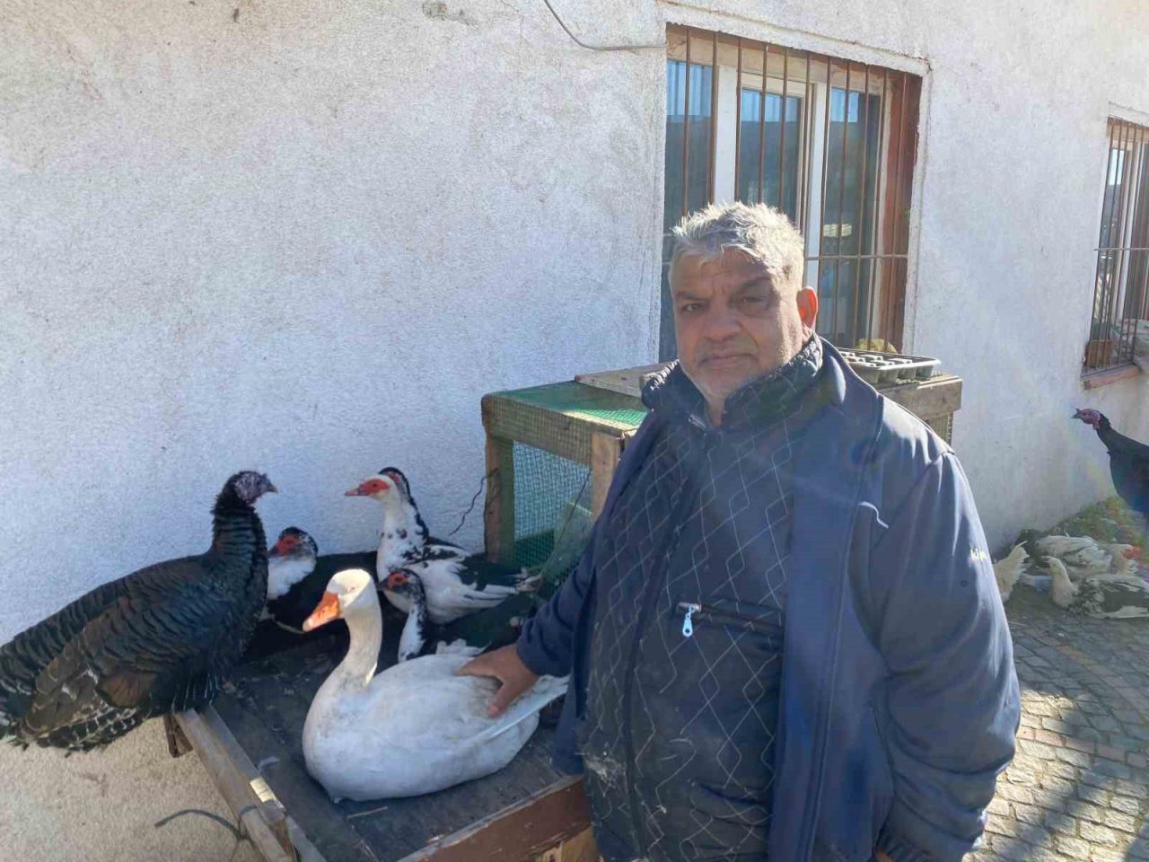 Edirne’de yeni yıl yaklaşırken artış göstermesi beklenen kanatlı hayvan satışları,