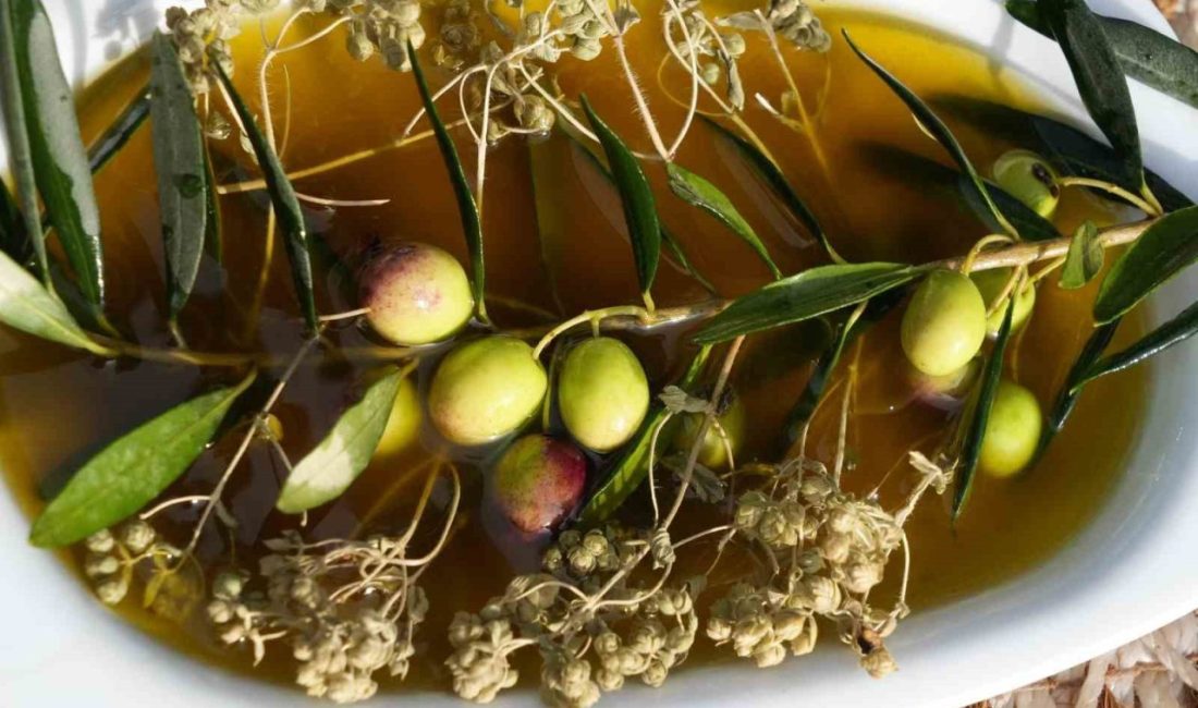 Balıkesir’in Ayvalık ilçesinde zeytin sezonu tüm hızıyla devam ederken, bölgenin