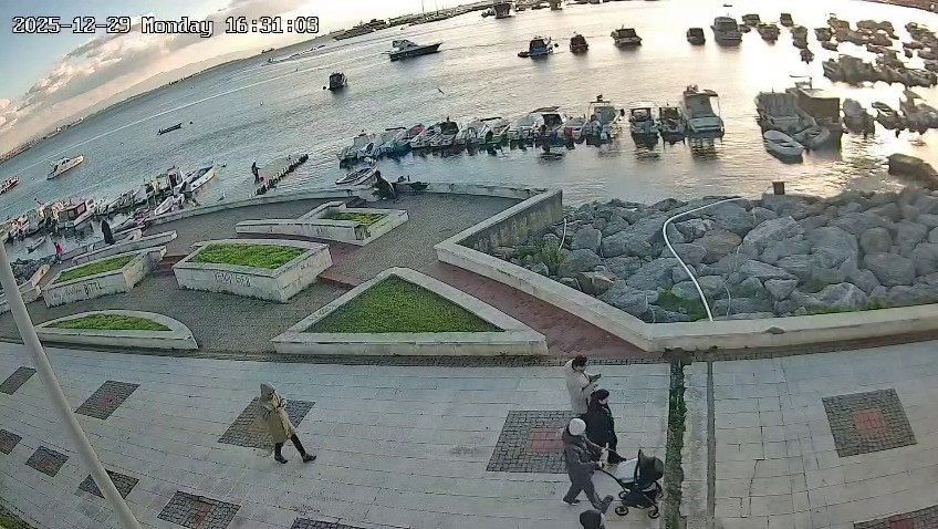 Pendik’te balık tutan bir vatandaş oltadan çektiği balığa yaklaşan kediyi