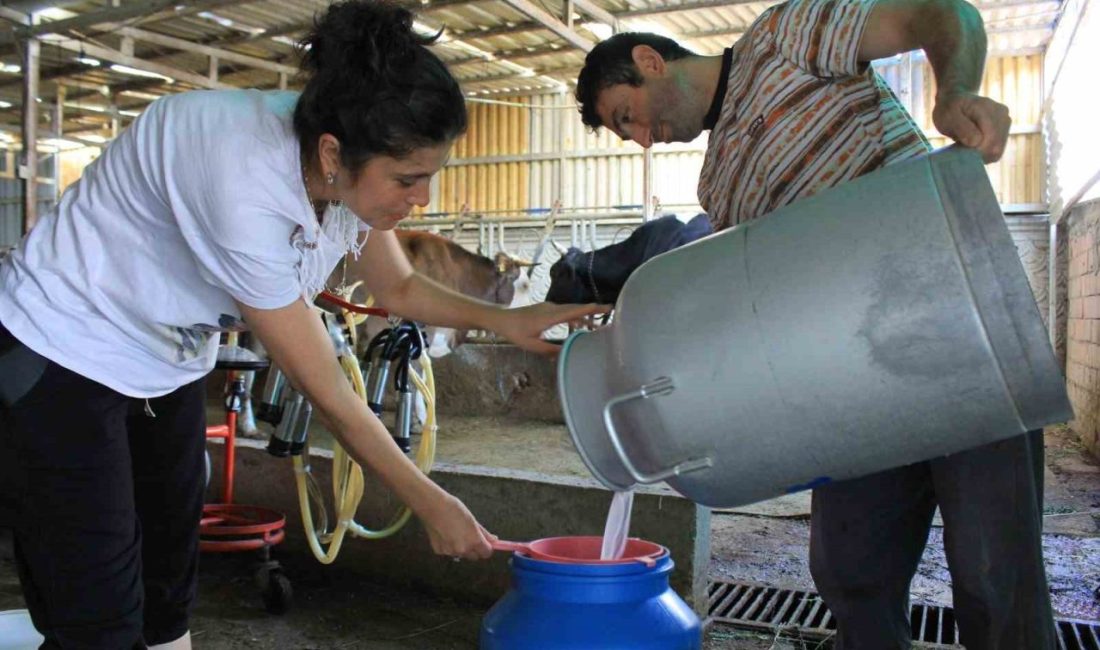 Tüm Süt, Et ve Damızlık Sığır Yetiştiricileri Derneği (TÜSEDAD) Başkanı