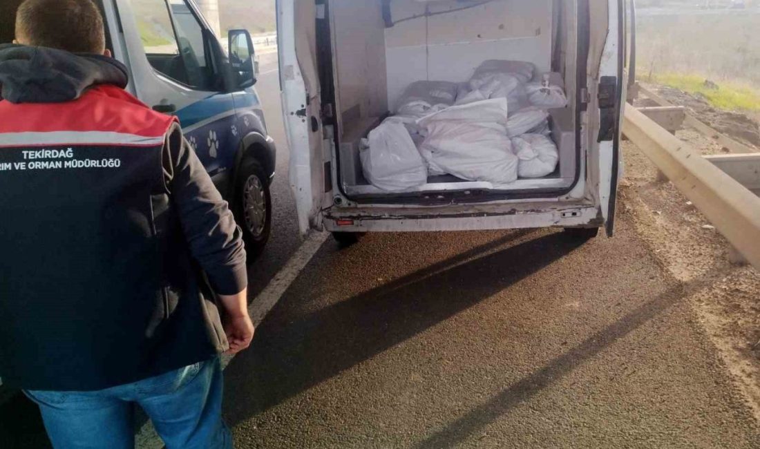 Tekirdağ’ın Muratlı ilçesinde gerçekleştirilen yol kontrolü sırasında menşei belirsiz 400