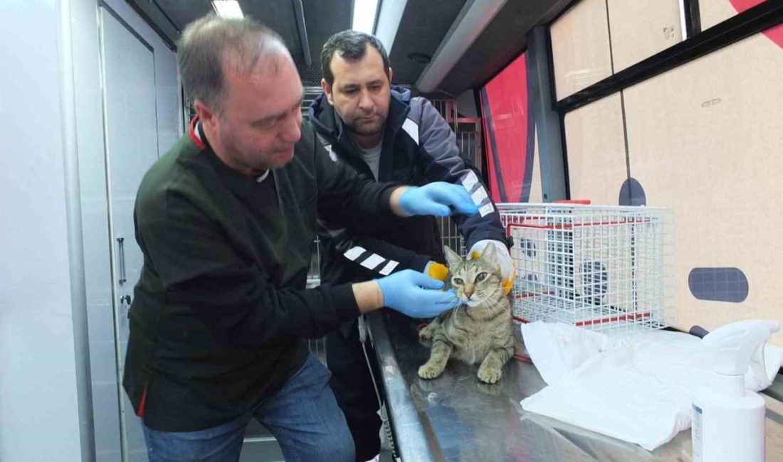 Balıkesir’de Büyükşehir Belediyesi’nin hayata geçirdiği Can Dost Yerinde Tedavi ve
