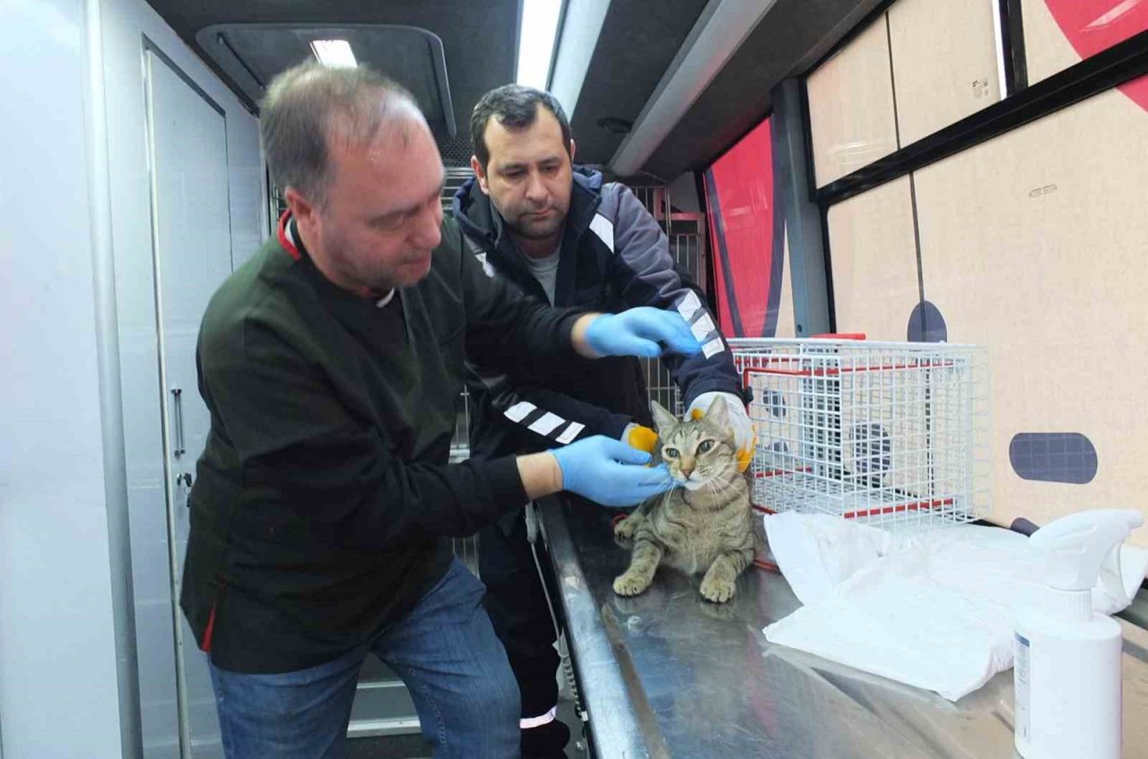 Balıkesir’de Büyükşehir Belediyesi’nin hayata geçirdiği Can Dost Yerinde Tedavi ve