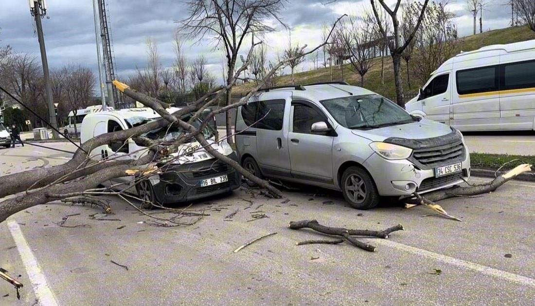 Bursa’da etkili lodos, refüjdeki ağaçları devirdi. Devrilen ağaçlar seyir halindeki