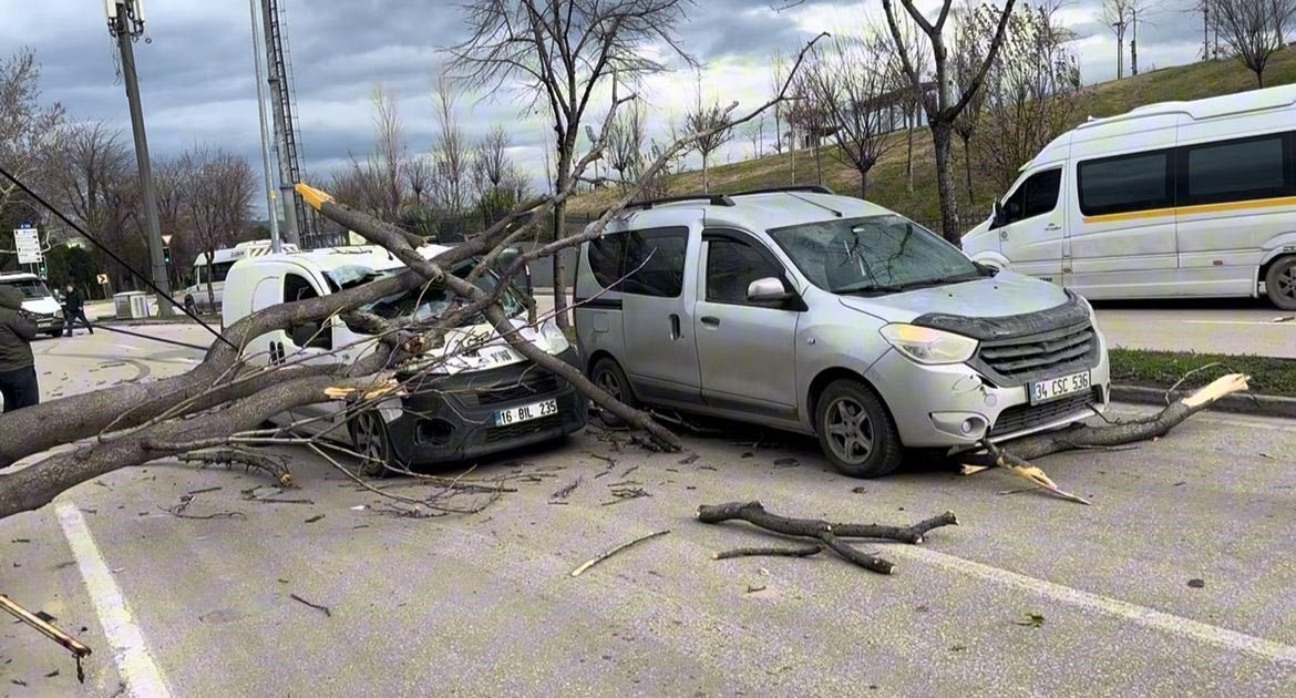 Bursa’da etkili lodos, refüjdeki ağaçları devirdi. Devrilen ağaçlar seyir halindeki