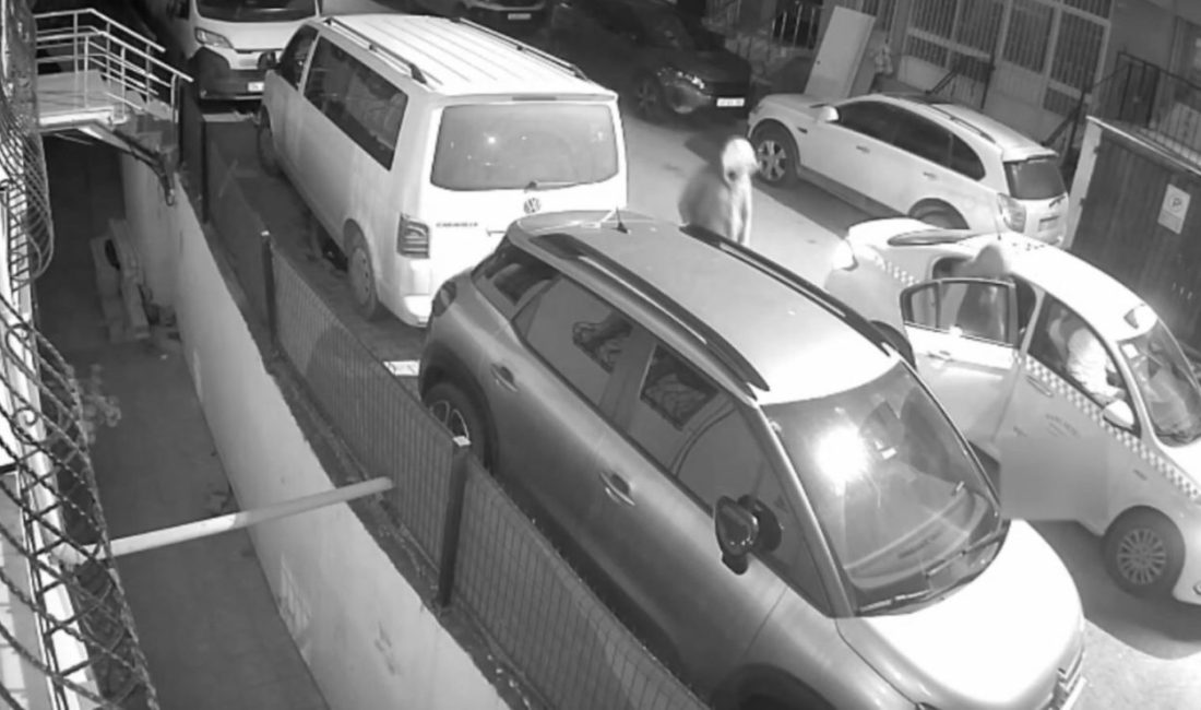 İstanbul’da bir iş yerine düzenlenen silahlı saldırıya ilişkin yürütülen çalışmalarda