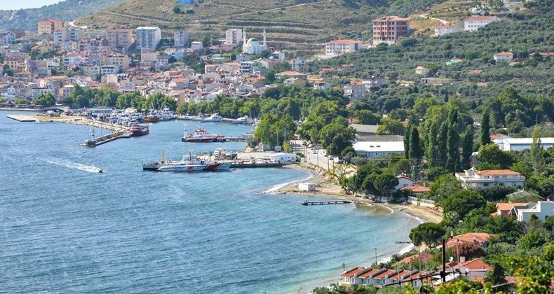 Balıkesir’in Marmara ilçesinde veteriner hekimler tarafından yürütülen aşılama çalışmaları sırasında