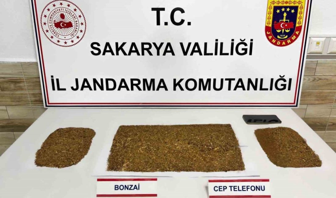 Sakarya’da jandarma ekiplerince 4 ilçede sokak satıcılarına yönelik düzenlenen operasyonlarda
