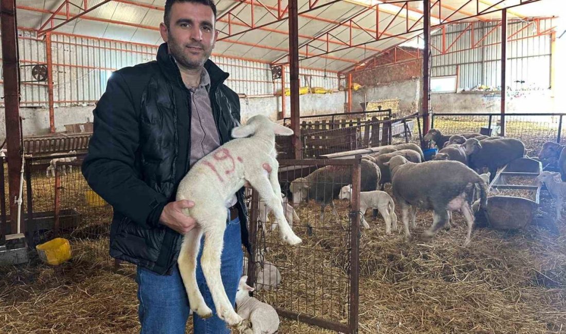 Balıkesir’in Manyas ilçesine bağlı kırsal Eşen Mahallesi’nde 57 önce kuralan