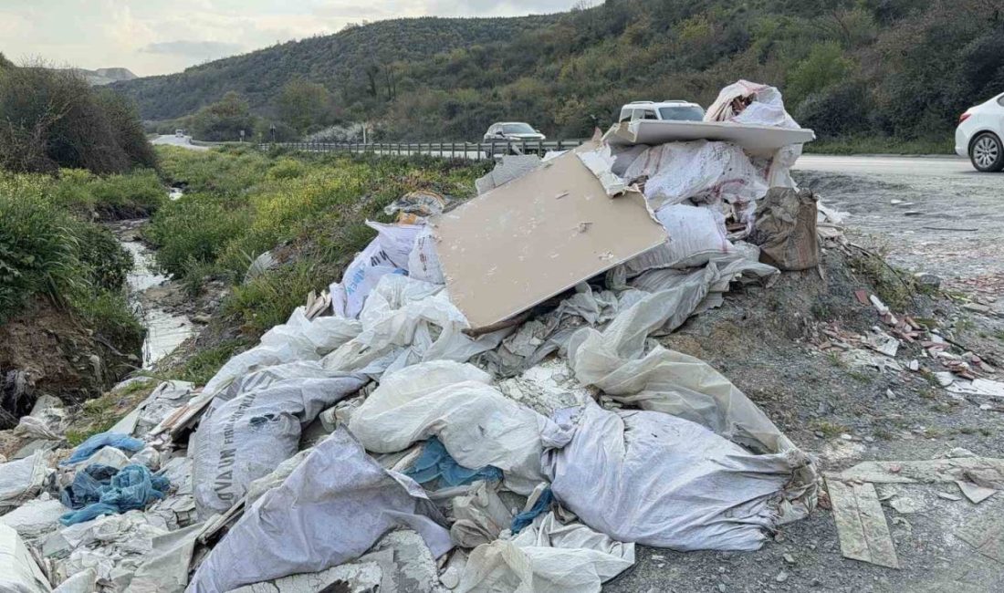 Arnavutköy’de kaçak döküm yaptığı tespit edilen kamyonet sürücüsü, vatandaşın çektiği