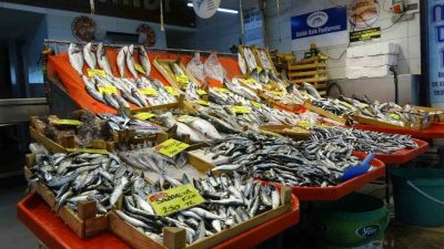 Denizlerde büyük tekneler için başlayan av yasağına rağmen, Kocaeli’deki balıkçı