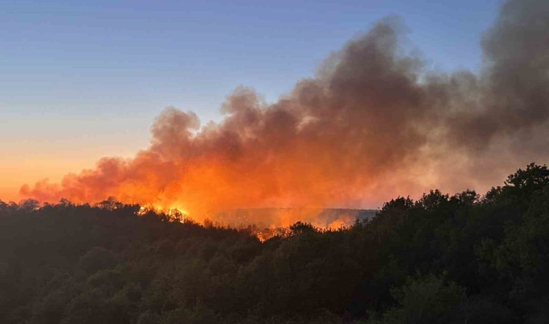 Beykoz’da gündüz saatlerinde başlayan ve güçlükle kontrol altına alınan orman