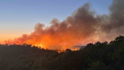Beykoz’da gündüz saatlerinde başlayan ve güçlükle kontrol altına alınan orman